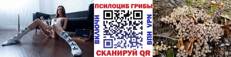 Псилоцибиновые грибы Psilocybine cubensis  закладки  Разумное 